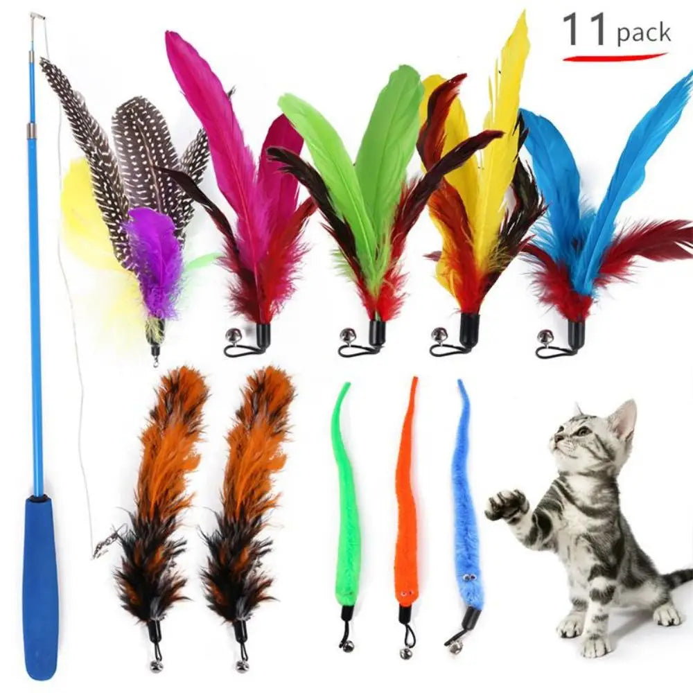 Worm Tail Pack