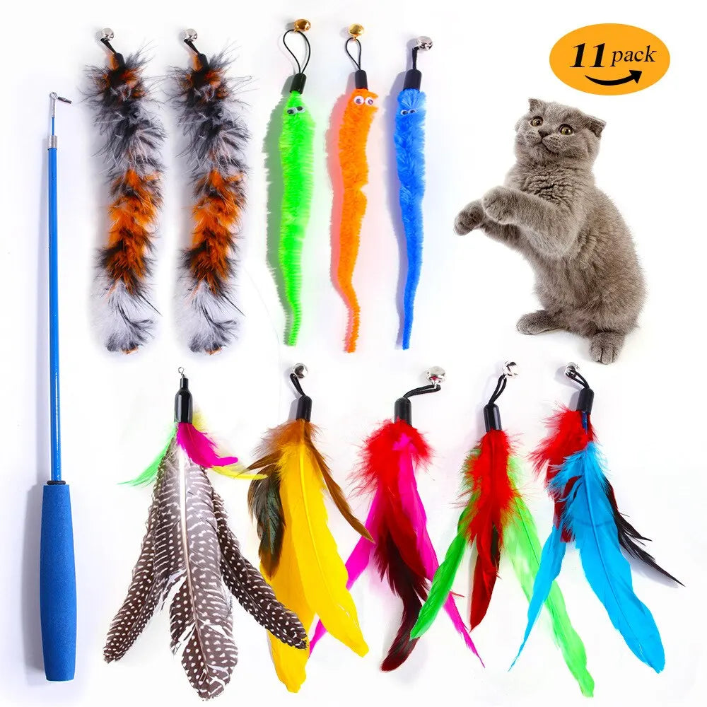 Worm Tail Pack