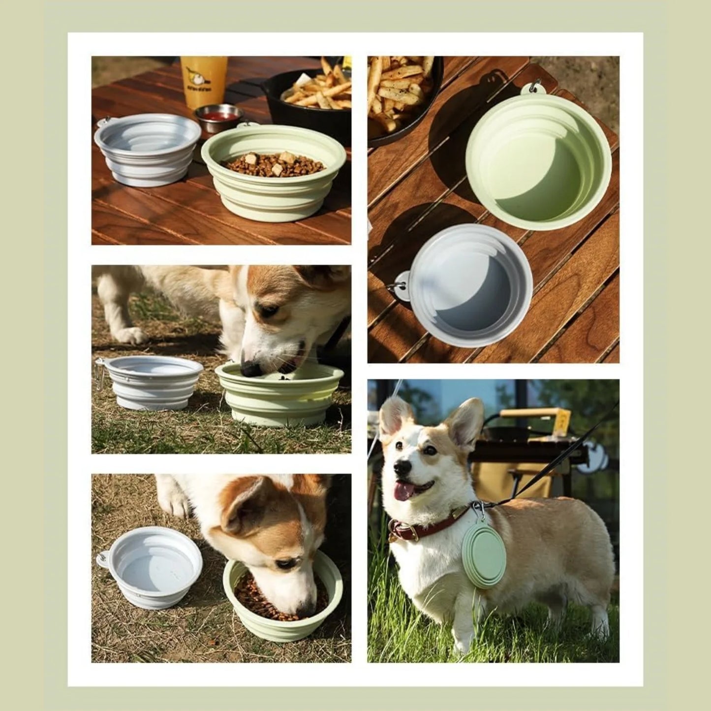 Explorer Travel Bowl