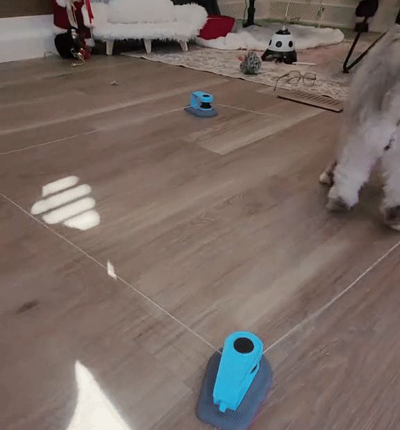 PurrMotion™