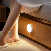 Motion Sensor Light