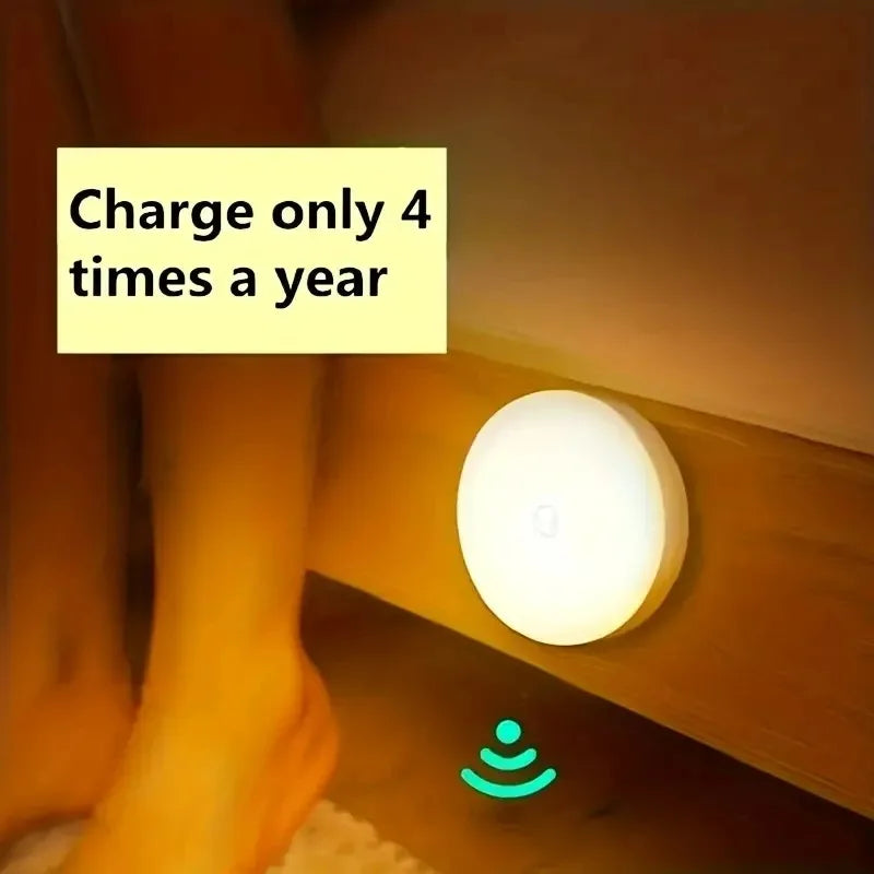 Motion Sensor Light