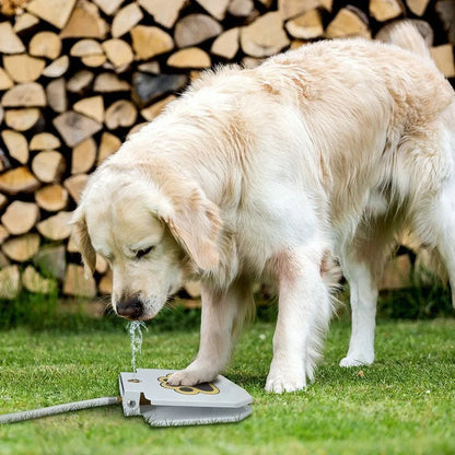 HydroPaw™ SplashStep