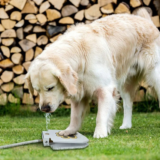 HydroPaw™ SplashStep