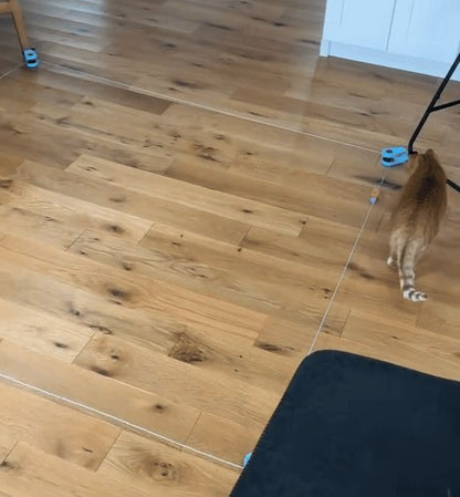 PurrMotion™
